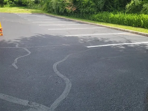 Rubberized crack sealant running in long seams across an asphalt parking lot, with freshly painted white stall lines along the curb behind and traffic cones stacked at the edge