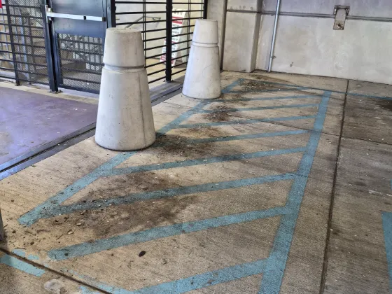 Faded blue accessible access-aisle hatching on a stained concrete bay beside two concrete bollards